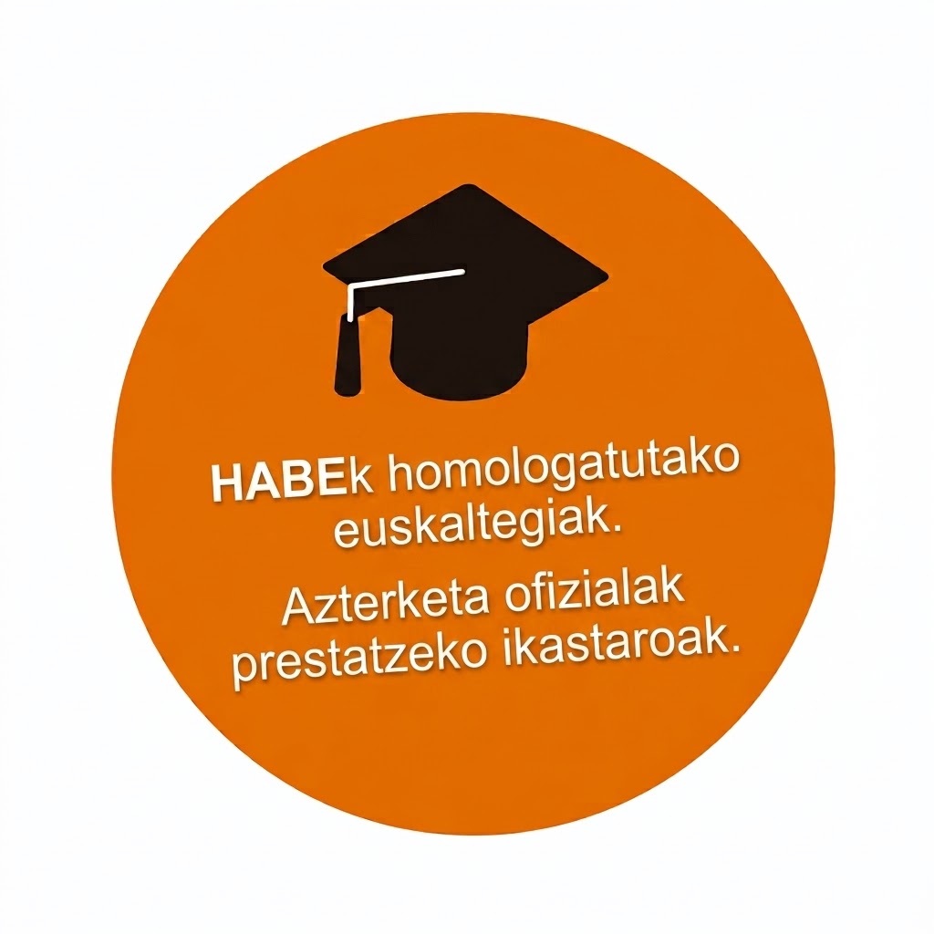 Euskaltegis homologados por HABE. Cursos de preparación de exámenes oficiales