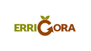 errigora logoa