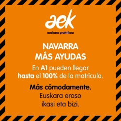 ( NAVARRA) Ayudas para el nuevo curso: un 60% más en ayudas para las personas que aprenden euskera